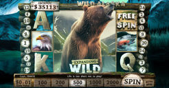 Wild Alaska