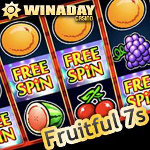 Play casino games at Winaday Instant Casino!